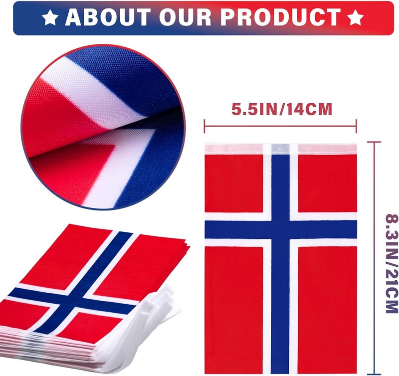 MVPRING Norway String Flag Pennant Banner, Small Mini Norwegian Nordmann Flags Bunting Banner, National Country Decoration for School, Party, Sports Events, Patriotic Festival, 33 Feet 30 Flags - Image 3